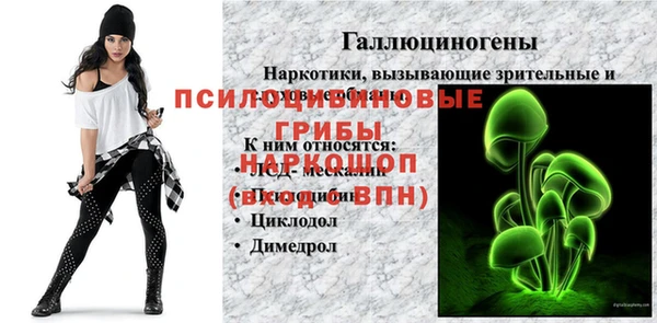 дмт Зерноград