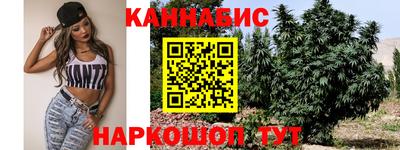 a pvp Гатчина