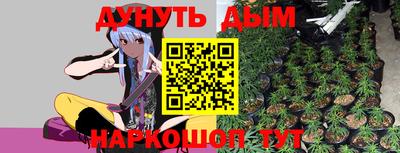a pvp Гатчина