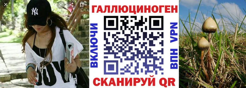 Псилоцибиновые грибы GOLDEN TEACHER Кисловодск