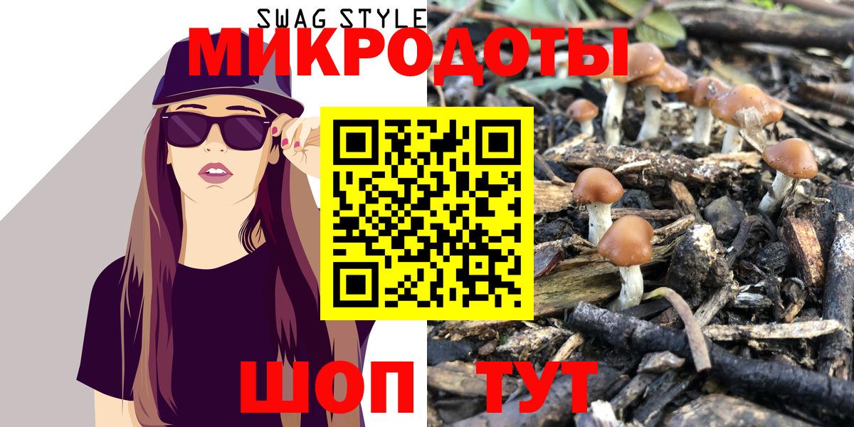Кисловодск  Псилоцибиновые грибы Psilocybe  Вход с VPN 