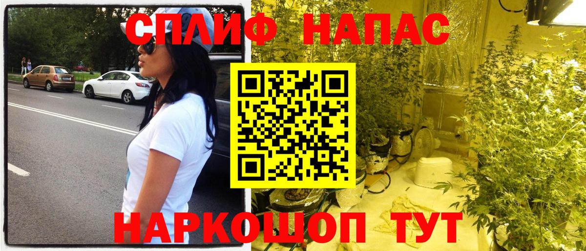 МАРИХУАНА ГИДРОПОН Кисловодск